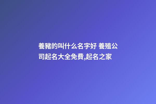 養豬的叫什么名字好 養殖公司起名大全免費,起名之家-第1張-公司起名-玄機派